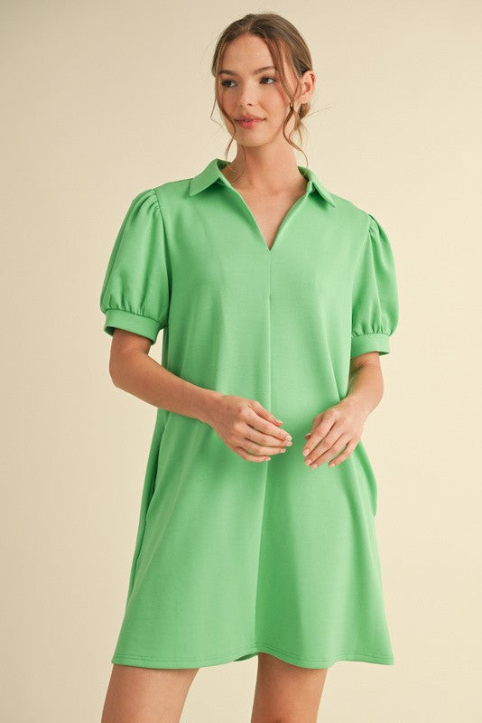 Greenlight Jersey Collar Dress